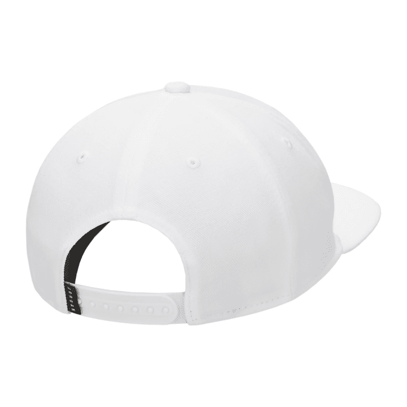 Nike Jordan Pro Golf Cap FV5296 100 2