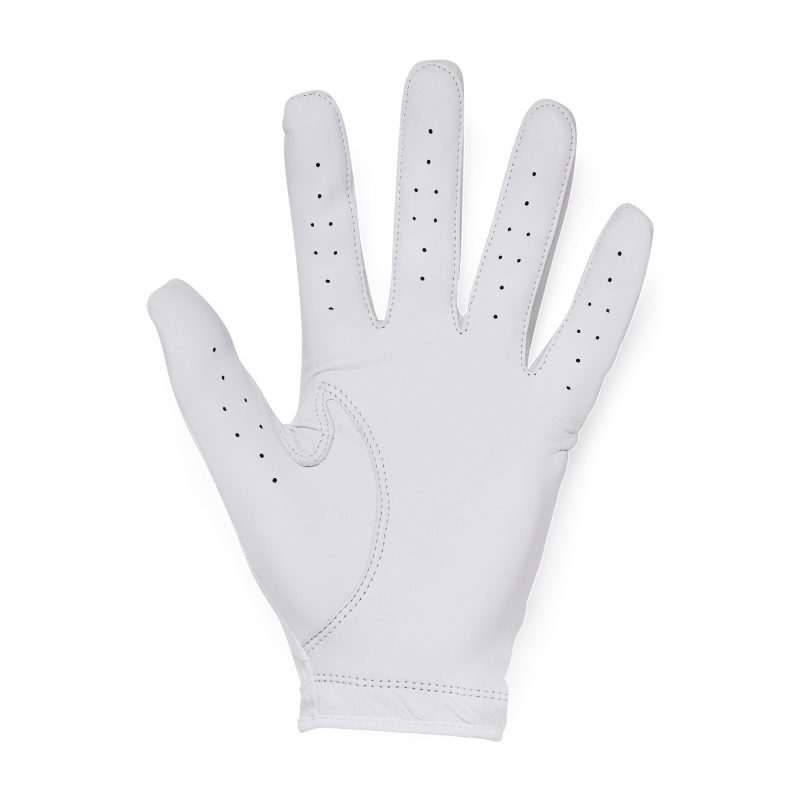 Under Armour Golf UA Iso Chill Glove MLH 1370277 100 2